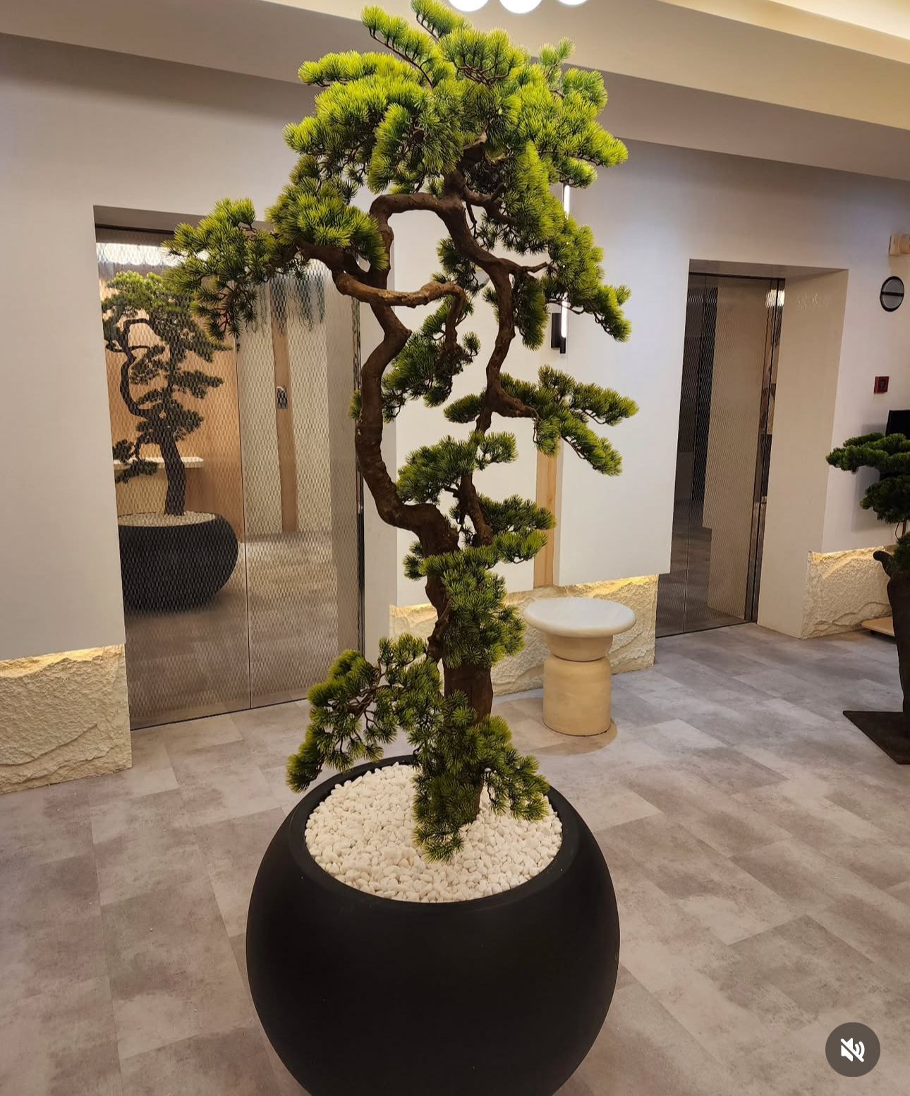 Artificial Bonsai Premium Xlarge Plants UAE