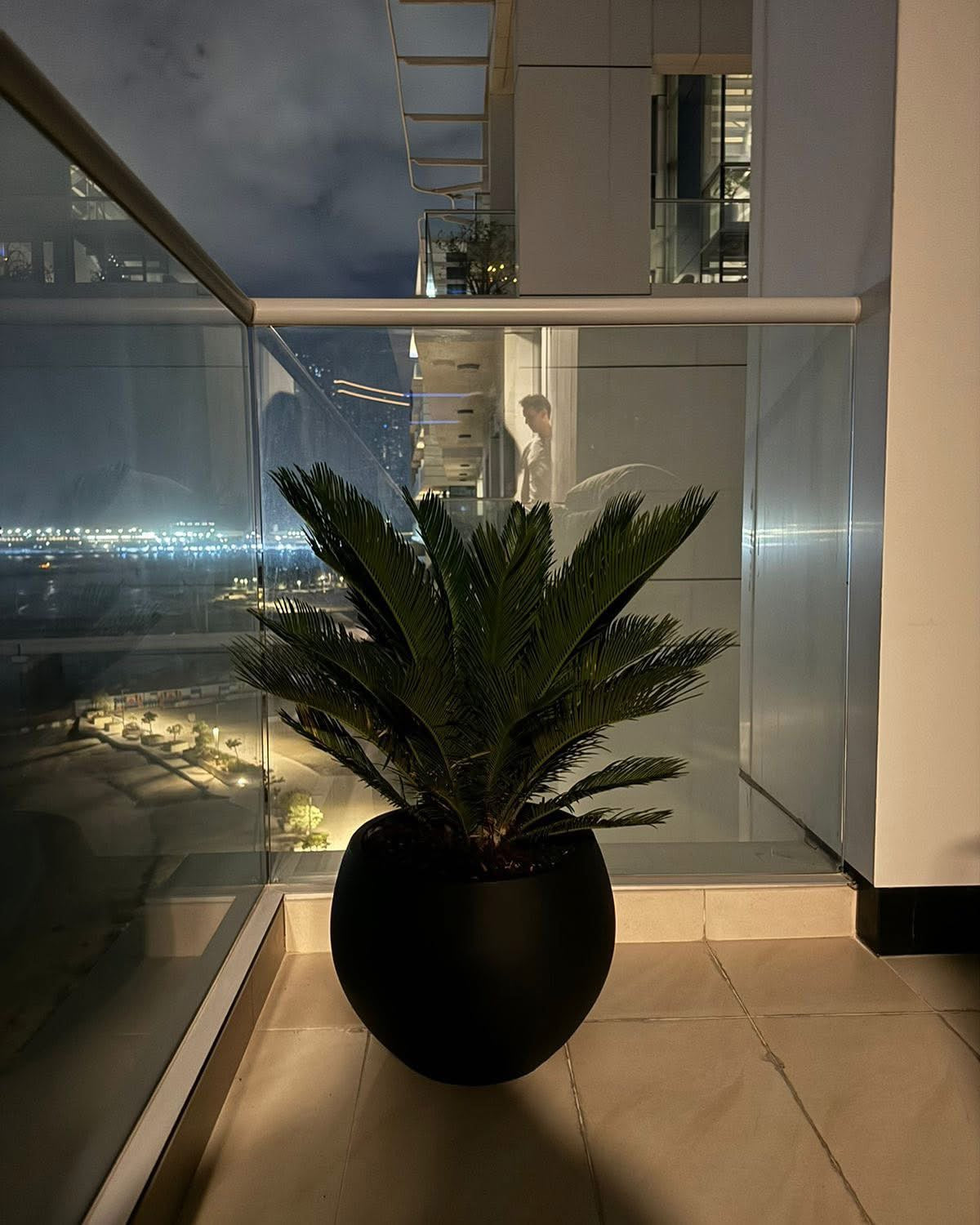 Cycas in Fiber Plants Dubai Online. Potted plant in a modern indoor setting with a cityscape view.