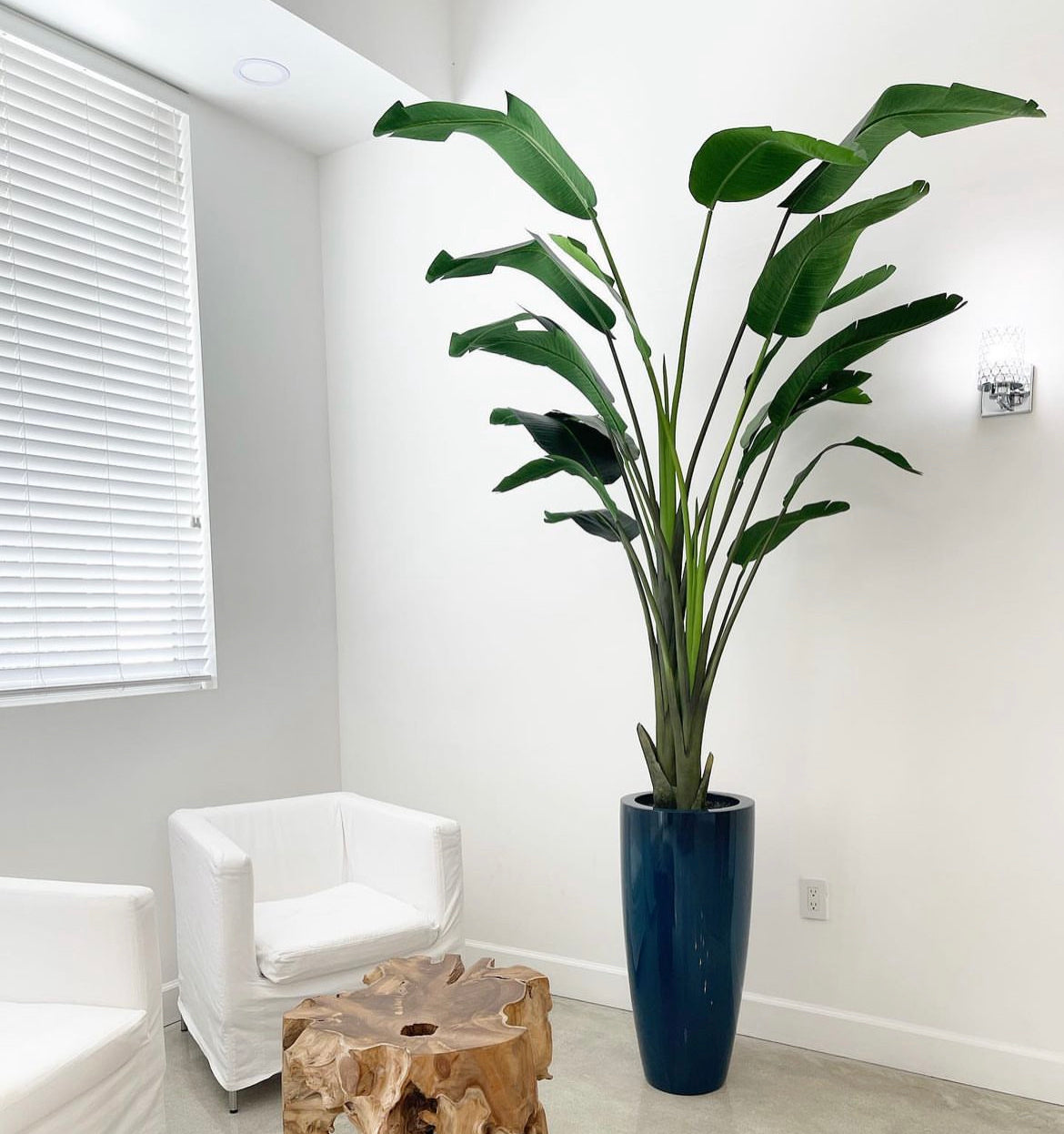 Artificial Bird of Paradise
