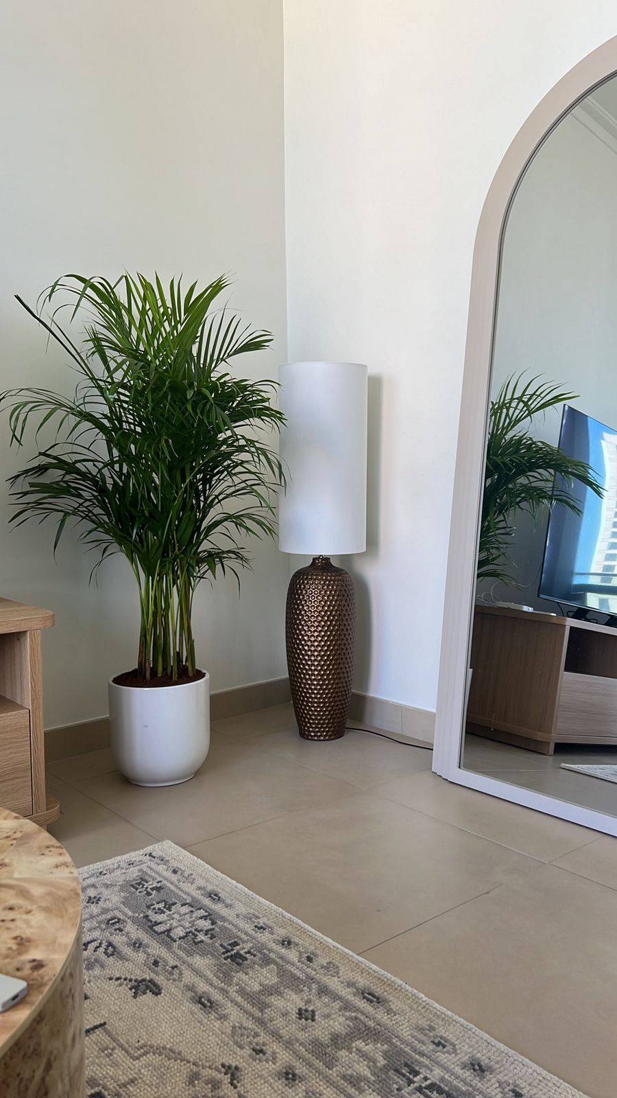 199DH Areca Palm Tree Bushy in Ceramic Pot PROMO Plants UAE