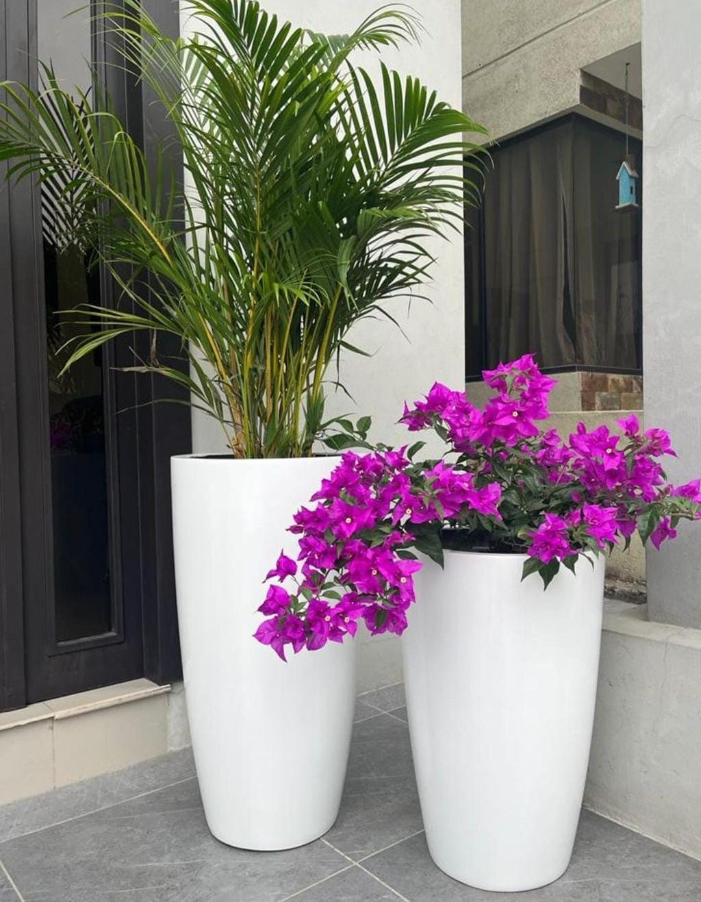 Outdoor Bundle in white ceramic Pots Plants UAE