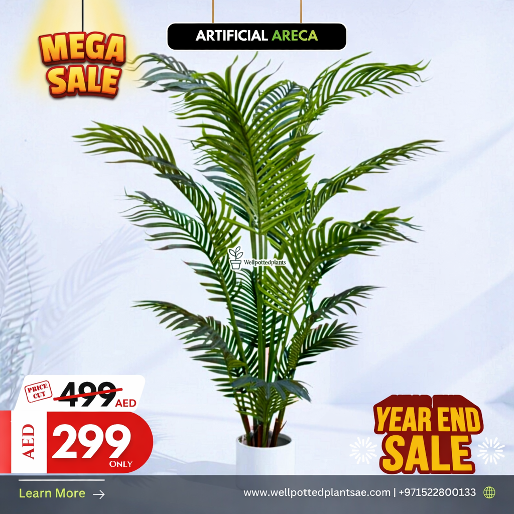Mega Sale Artificial Areca Plant UAE