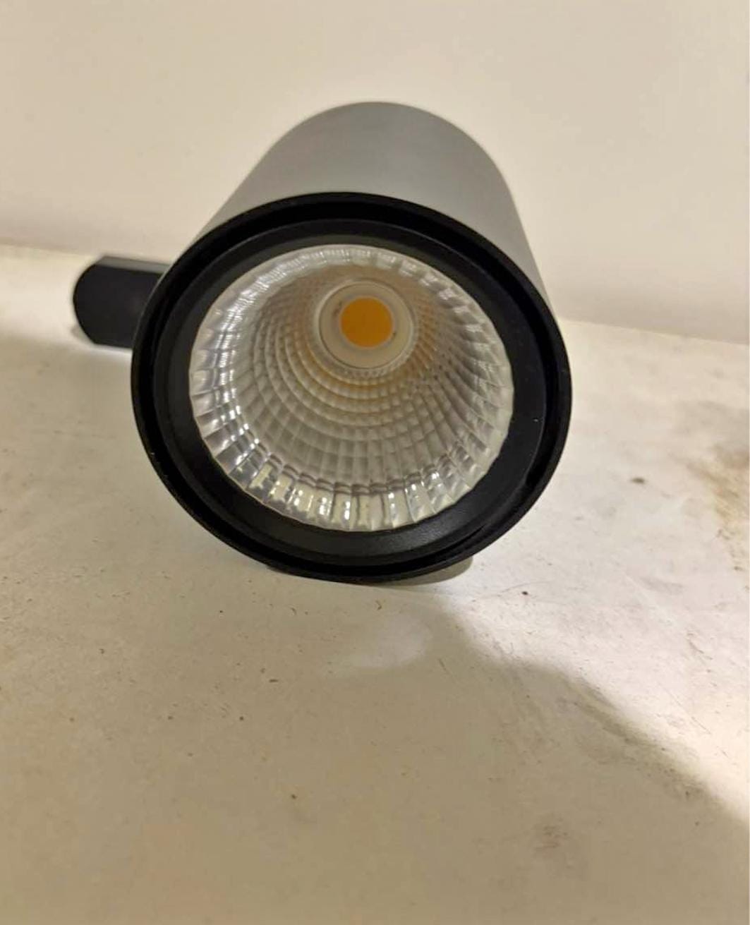 Spot light for plants
