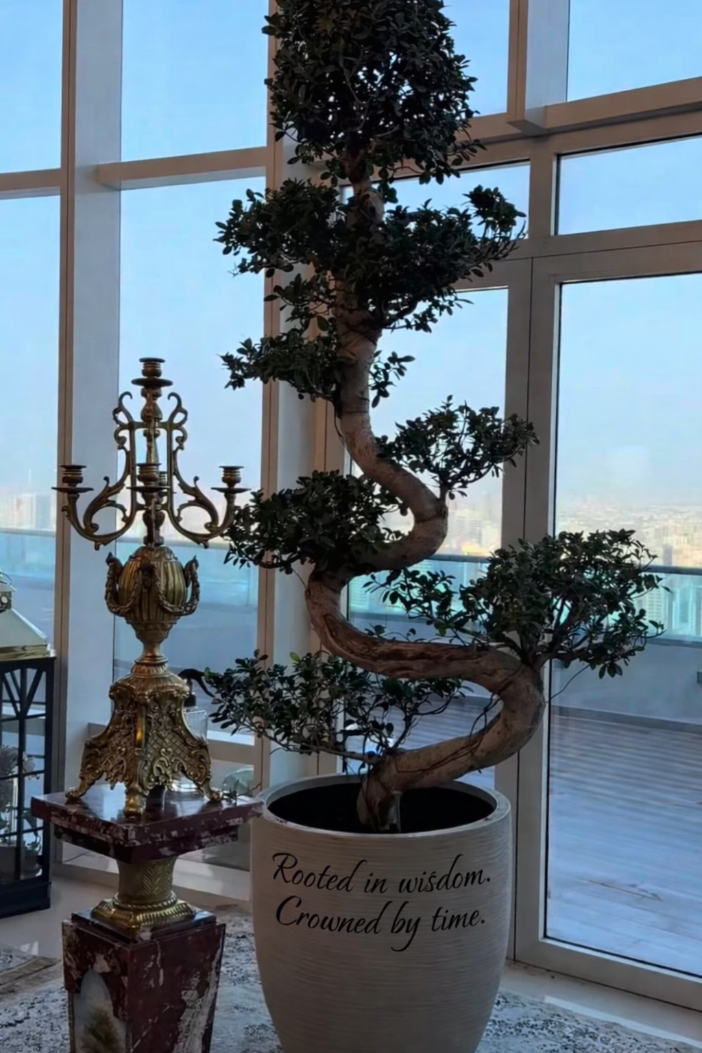 Bonsai Large shape premium in fiber Plants Dubai