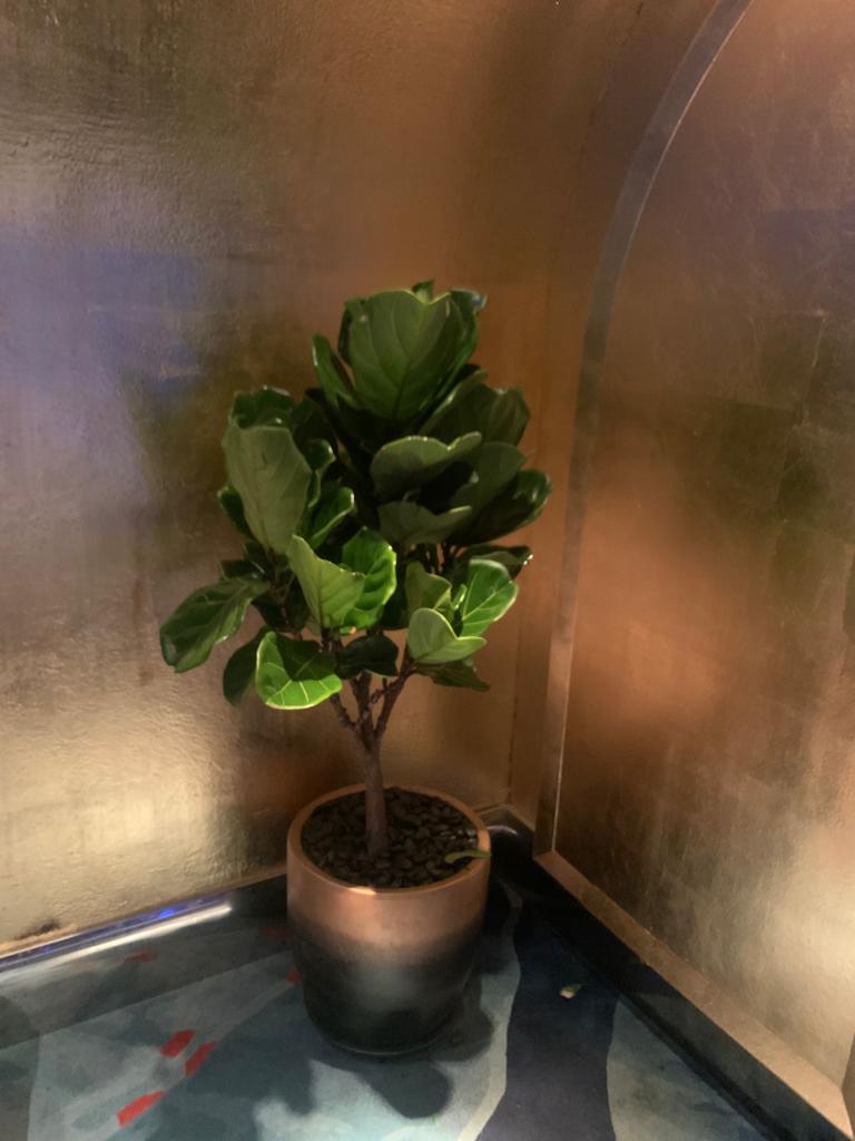 Fiddle XL (Hotel Quality)| 180cm