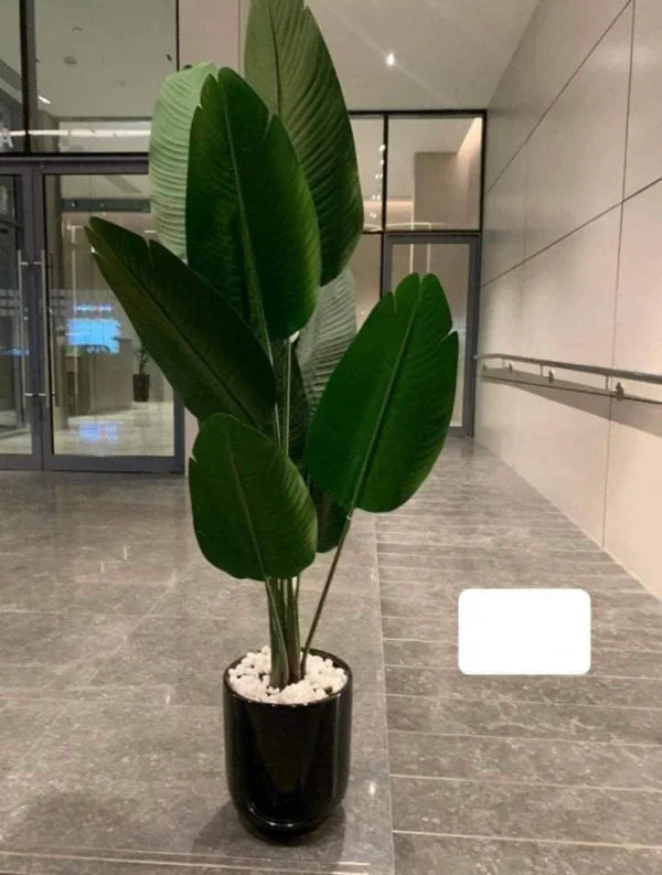 Artificial Plants