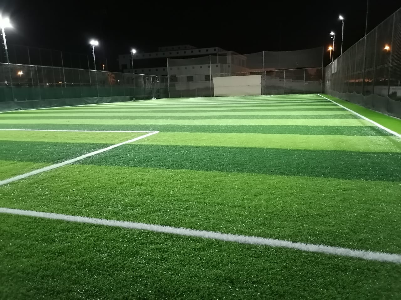 Artificial Grass Premium Quality with Installation Per sqm Outdoor Plants UAE