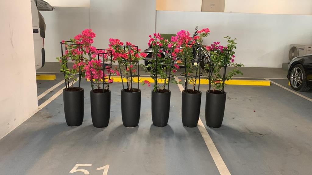 Bougainvillea in Black Ceramic Each
