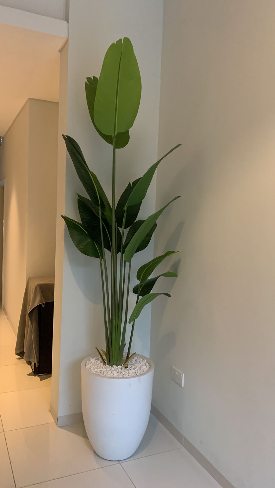 Bird of Paradise in Ceramic white 2.5m Faux Plant