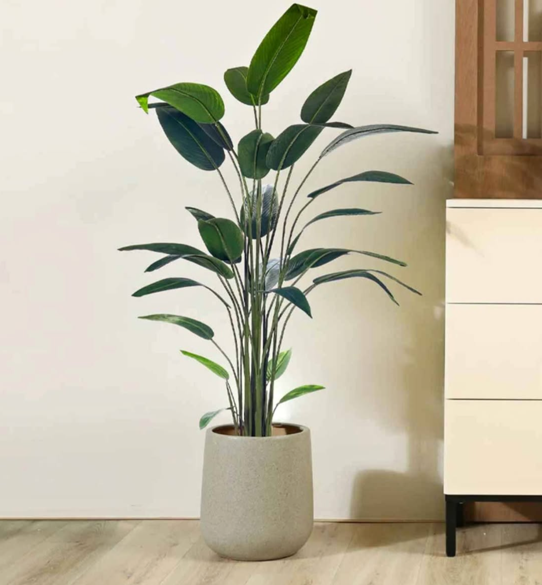 Artificial Bird of Paradise 160cm in Premium Fiber
