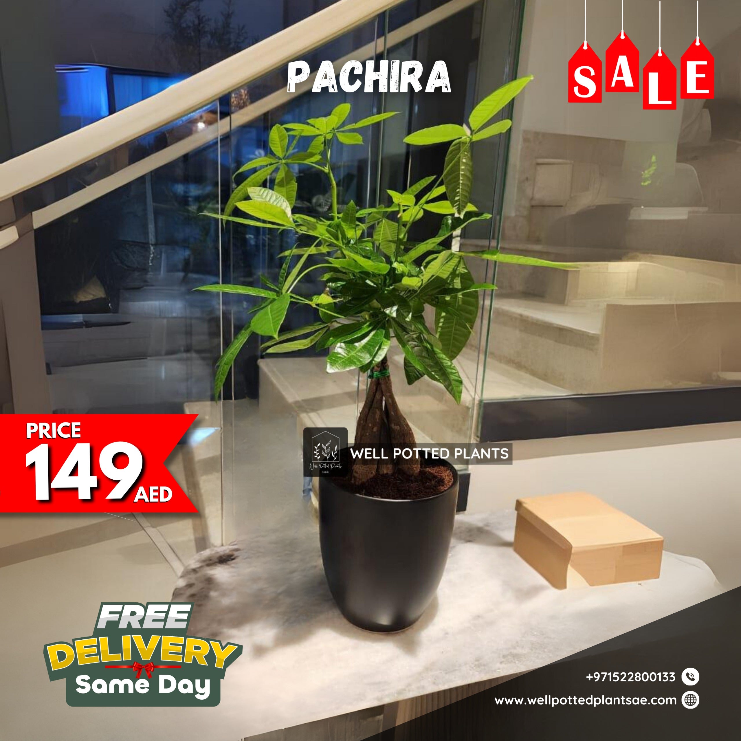 Mega Sale 💥