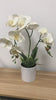 Artificial Orchid